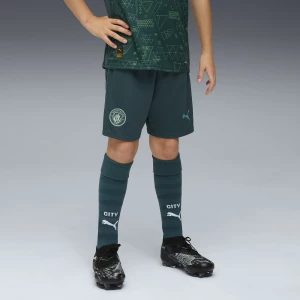 Foto van product PUMA Manchester City 25 / 26 short, Groen