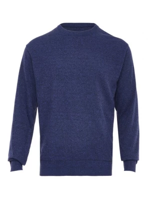 Foto van product RAIDO Trui blauw