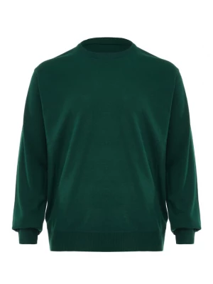 Foto van product RAIDO Trui groen