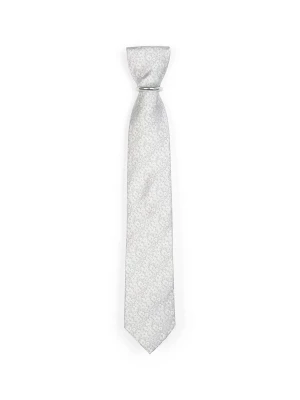 Foto van product Real Guys Stropdas zilver
