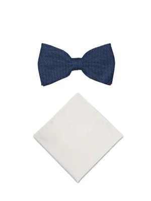 Foto van product Real Guys Vlinderdasje '14166FSET' blauw