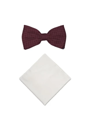 Foto van product Real Guys Vlinderdasje bordeaux