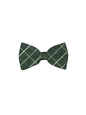 Foto van product Real Guys Vlinderdasje groen