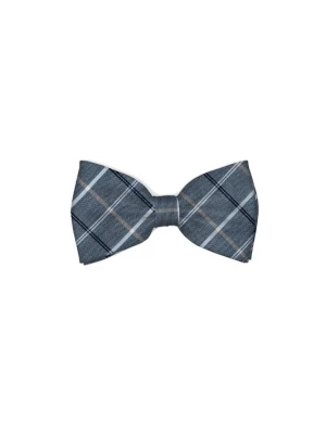 Foto van product Real Guys Vlinderdasje nude / blauw / marine / wit