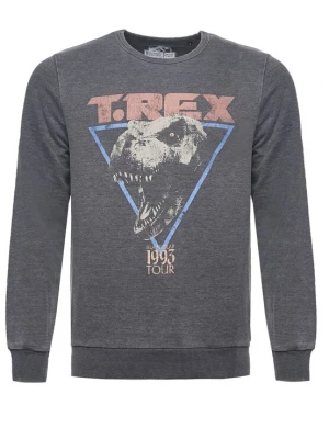 Foto van product Recovered Sweatshirt 'Jurassic Park T-Rex 1993' grijs