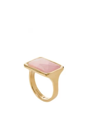 Foto van product Ring Skagen goudkleurig