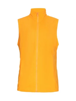 Foto van product TILDEN Bodywarmer oranje