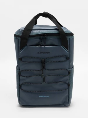 Foto van product Rugzak icepeak blauw