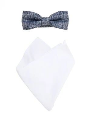Foto van product s.Oliver BLACK LABEL Vlinderdasje navy / wit
