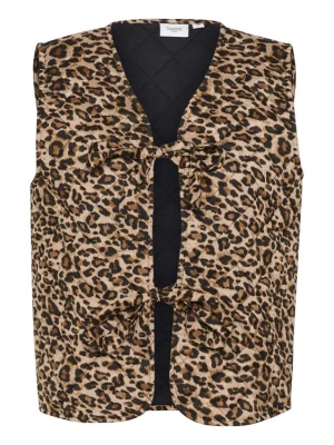 Foto van product SAINT TROPEZ Bodywarmer gemengde kleuren