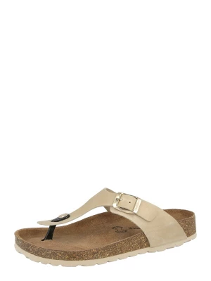 Foto van product SALAMANDER Teenslipper beige