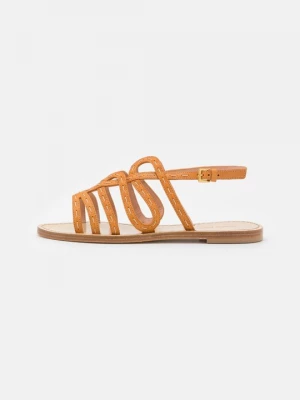 Foto van product Sandalen Alberta Ferretti bruin