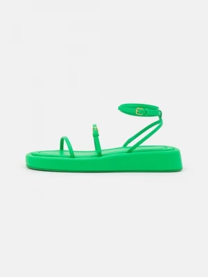 Foto van product Sandalen met plateauzool SPORTMAX groen