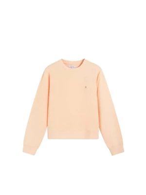 Foto van product Scalpers Sweatshirt perzik