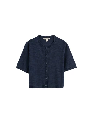 Foto van product Seasalt Cornwall Gebreid vest 'Wild Thyme' marine