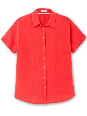 Foto van product SHEEGO Shirt kreeft