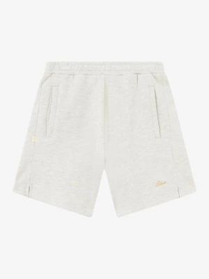Foto van product Shorts BLKVIS grijs