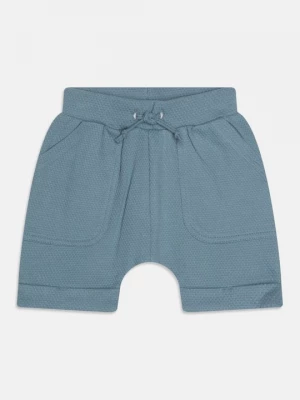 Foto van product Shorts Bruuns Bazaar blauw