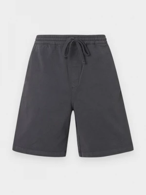 Foto van product Shorts Carhartt WIP donkergrijs
