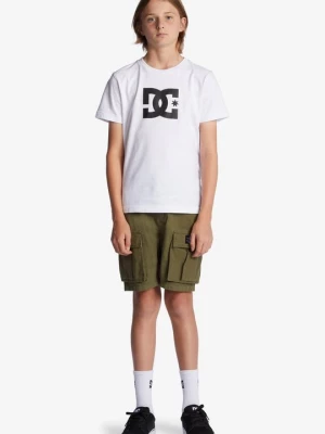 Foto van product Shorts DC Shoes groen