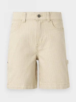 Foto van product Shorts Dickies lichtgroen