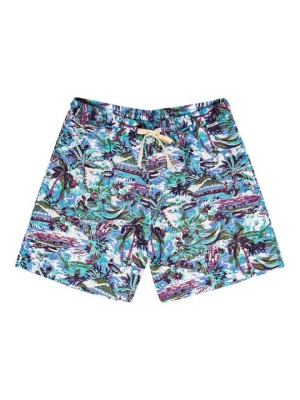 Foto van product Shorts Element blauw