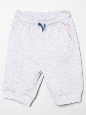 Foto van product Shorts Esprit grijs