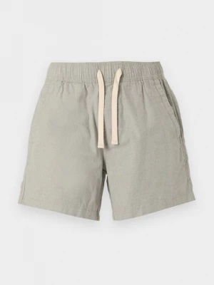 Foto van product Shorts Hollister Co. groen