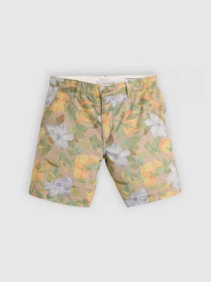 Foto van product Shorts Levi's groen