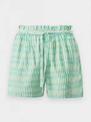 Foto van product Shorts MILLE groen