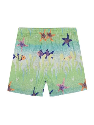 Foto van product Shorts Molo