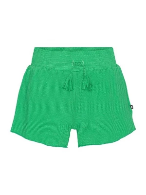 Foto van product Shorts Molo groen