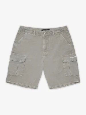 Foto van product Shorts Pegador grijs