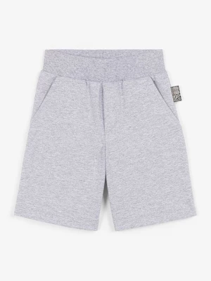 Foto van product Shorts Roberto Cavalli grijs