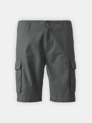 Foto van product Shorts Santa Cruz donkergroen