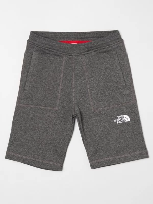 Foto van product Shorts The North Face grijs
