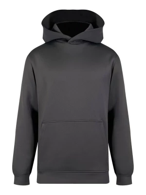 Foto van product SikSilk Sweatshirt grijs