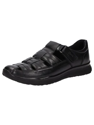 Foto van product SIOUX Sandalen 'Romedius-703' zwart