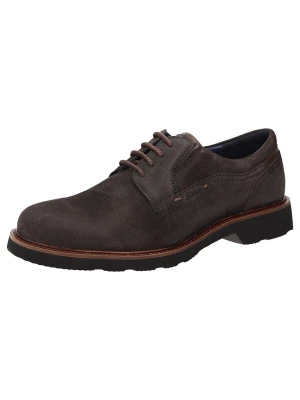 Foto van product SIOUX Veterschoen ' Dilip-716-H ' donkerbruin