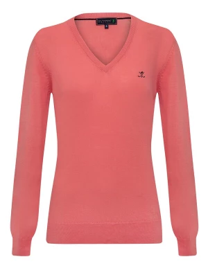 Foto van product Sir Raymond Tailor Trui 'Verty' pitaja roze / zwart