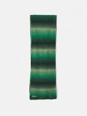 Foto van product Sjaal Carhartt WIP groen