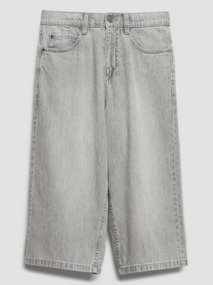 Foto van product Skater jeans / Regular Fit / Halfhoog / Wijde pijpen s.Oliver grijs