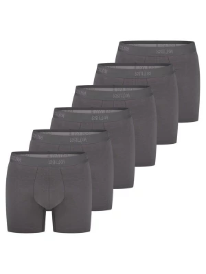 Foto van product SLOGGI Boxershorts 'SLG Base' grijs