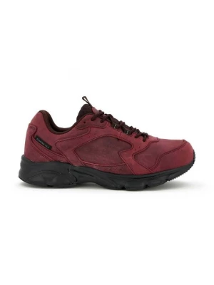 Foto van product Sneakers laag Scholl bordeauxrood