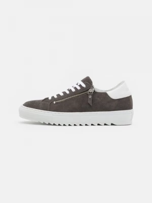Foto van product Sneakers laag Steve Madden grijs