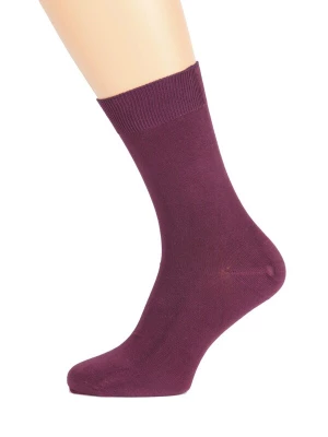 Foto van product Sokisahtel Sokken 'TAUNO men's socks' lila