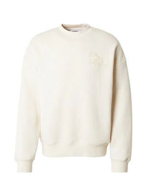 Foto van product Soulland Sweatshirt 'KODA' wolwit