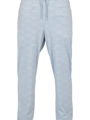 Foto van product SOUTHPOLE Broek lichtblauw / wit