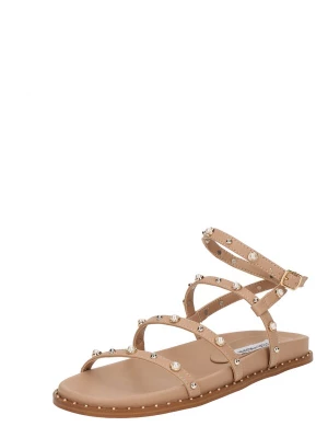 Foto van product STEVE MADDEN Sandalen met riem 'Stormie' beige / parelwit