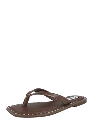 Foto van product STEVE MADDEN Teenslipper 'Rickyy' bruin